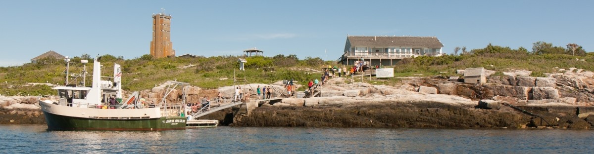 Island Dock