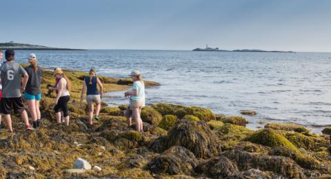 Shoals-Marine-Laboratory