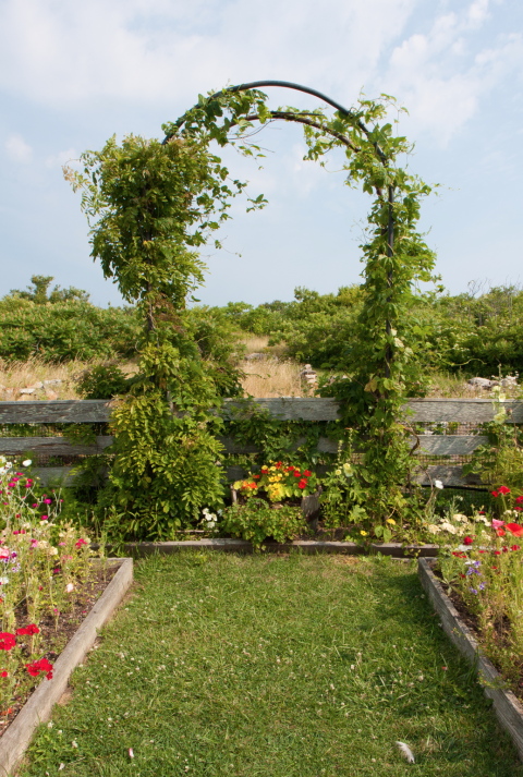 Thaxter Garden Trellis