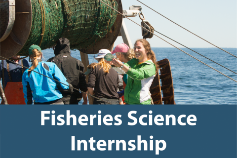 research-fisheries-science