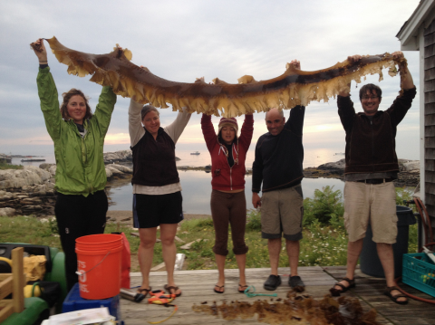 researchers-visiting-byrnes-lab-kelp