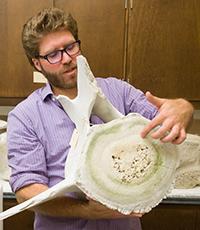 image of Nicholas Gismark, holding a marine mammal bone