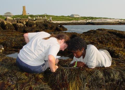 two students exploring the intertidal zone
