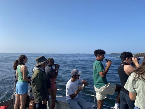 students exploring the marine environment