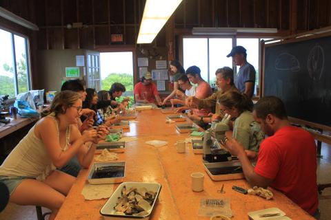 a group of students working on sea creatures in a rustic lab setting