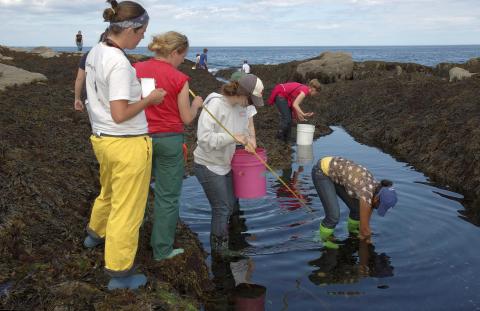 students intertidal exploring