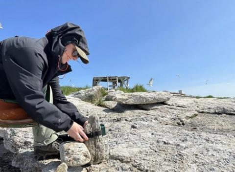 a woman picking something up from a rocky shoreline