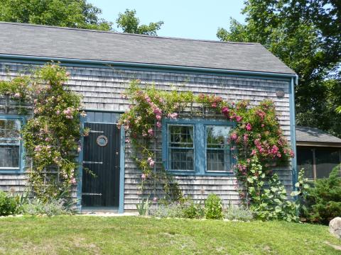 a cozy cottage with roses