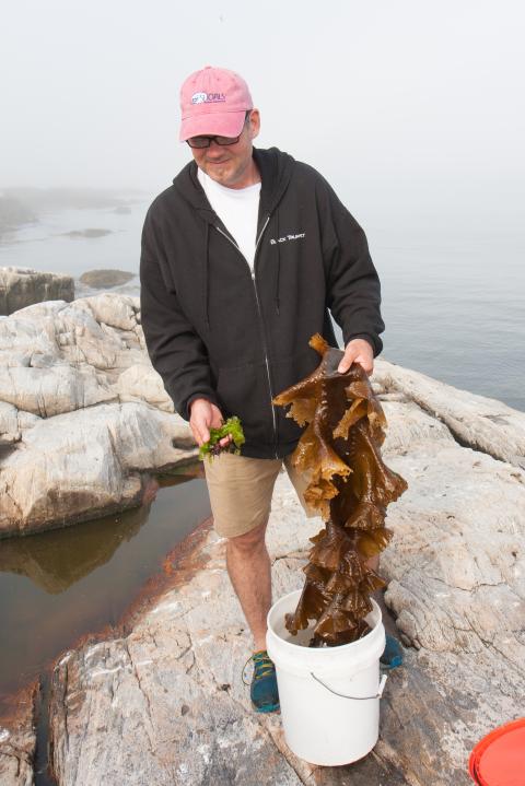 Evan Mallett with kelp