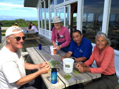 group of people shelling peas