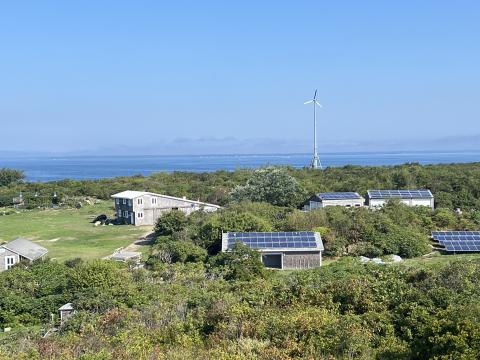 landscape of green grid