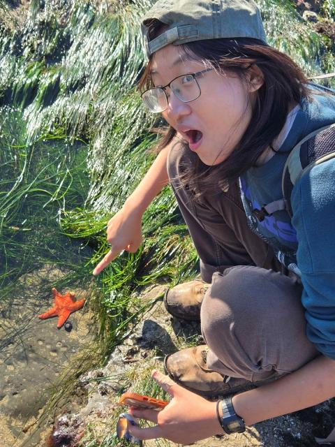 woman in hat pointing to sea star excitedly