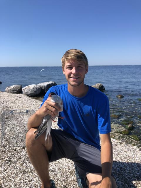 man on the beach holding a bird