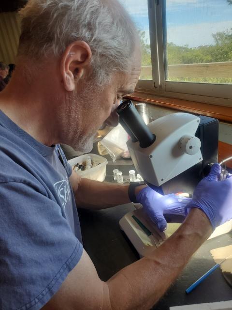 man looking into microscope