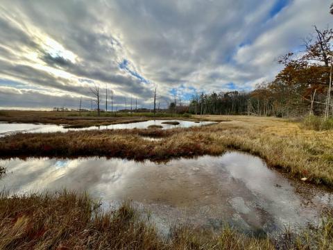 coastal inlet with cloudy sky