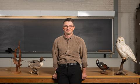 man leaning on desk with taxidermy birds on it