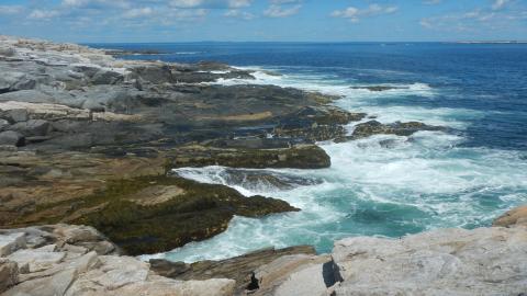 a rocky shoreline along Appledore Island