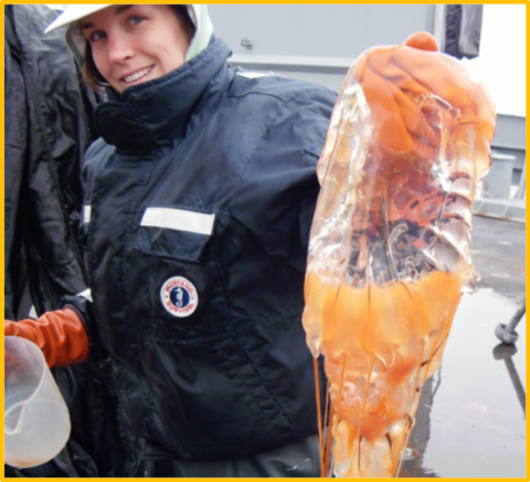 woman holding a sea creature