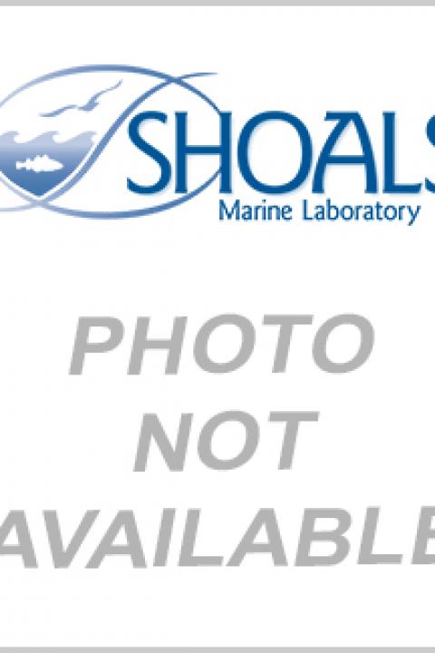 Shoals logo with Photo Not Available text